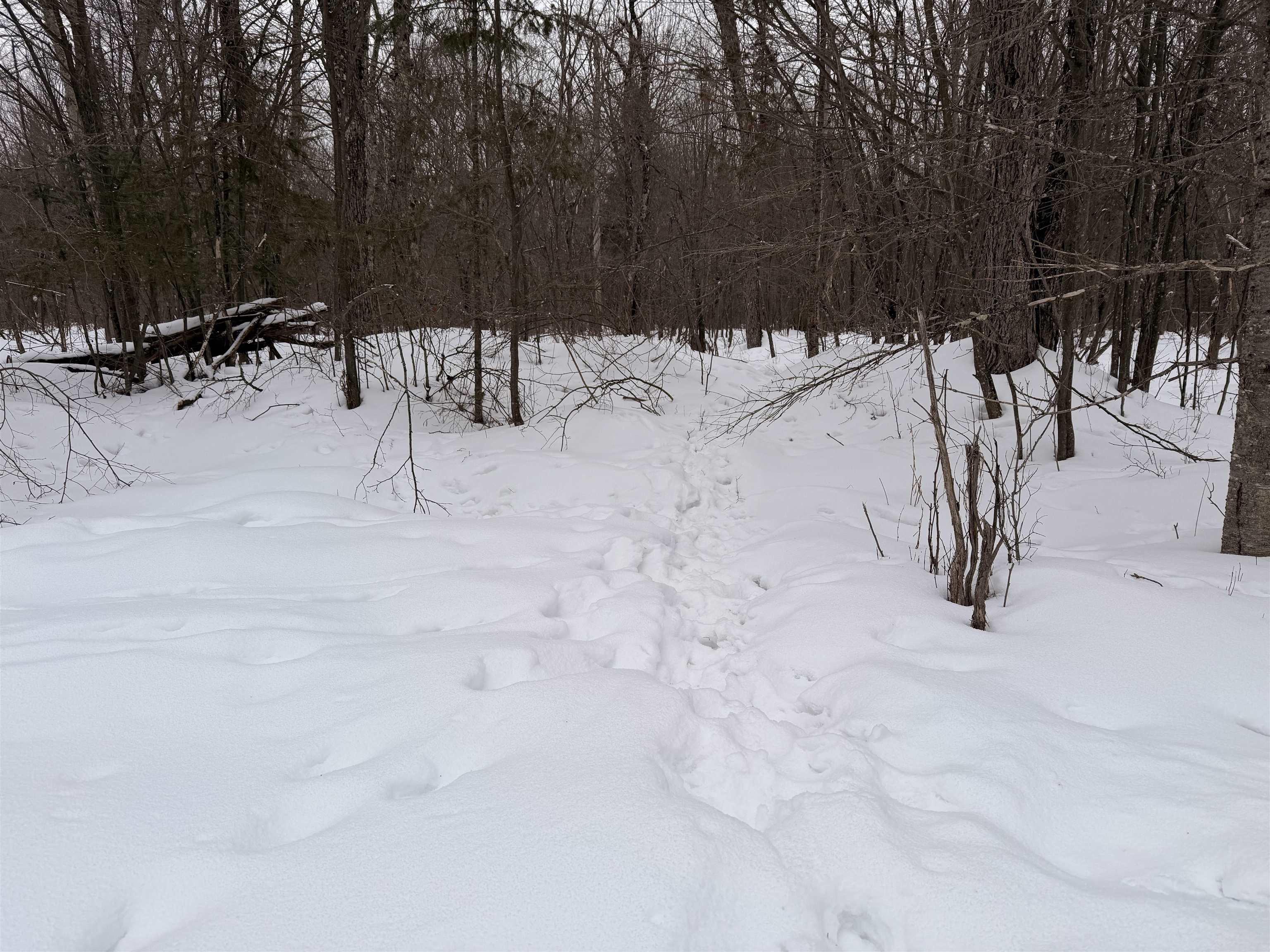 W13821 Lloyd Creek Road Gleason, WI 54435 - Photo 20 of 45