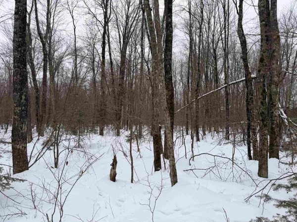 $379,000 | W13821 Lloyd Creek Road, Gleason, WI 54435