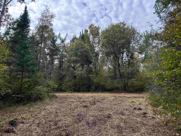 $379,000 | W13821 Lloyd Creek Road, Gleason, WI 54435