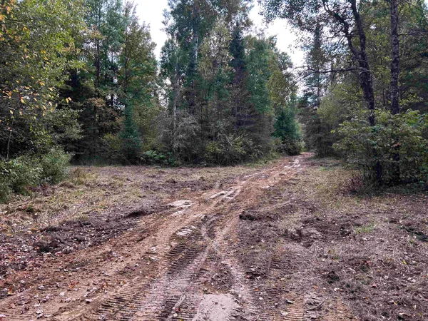 $379,000 | W13821 Lloyd Creek Road, Gleason, WI 54435