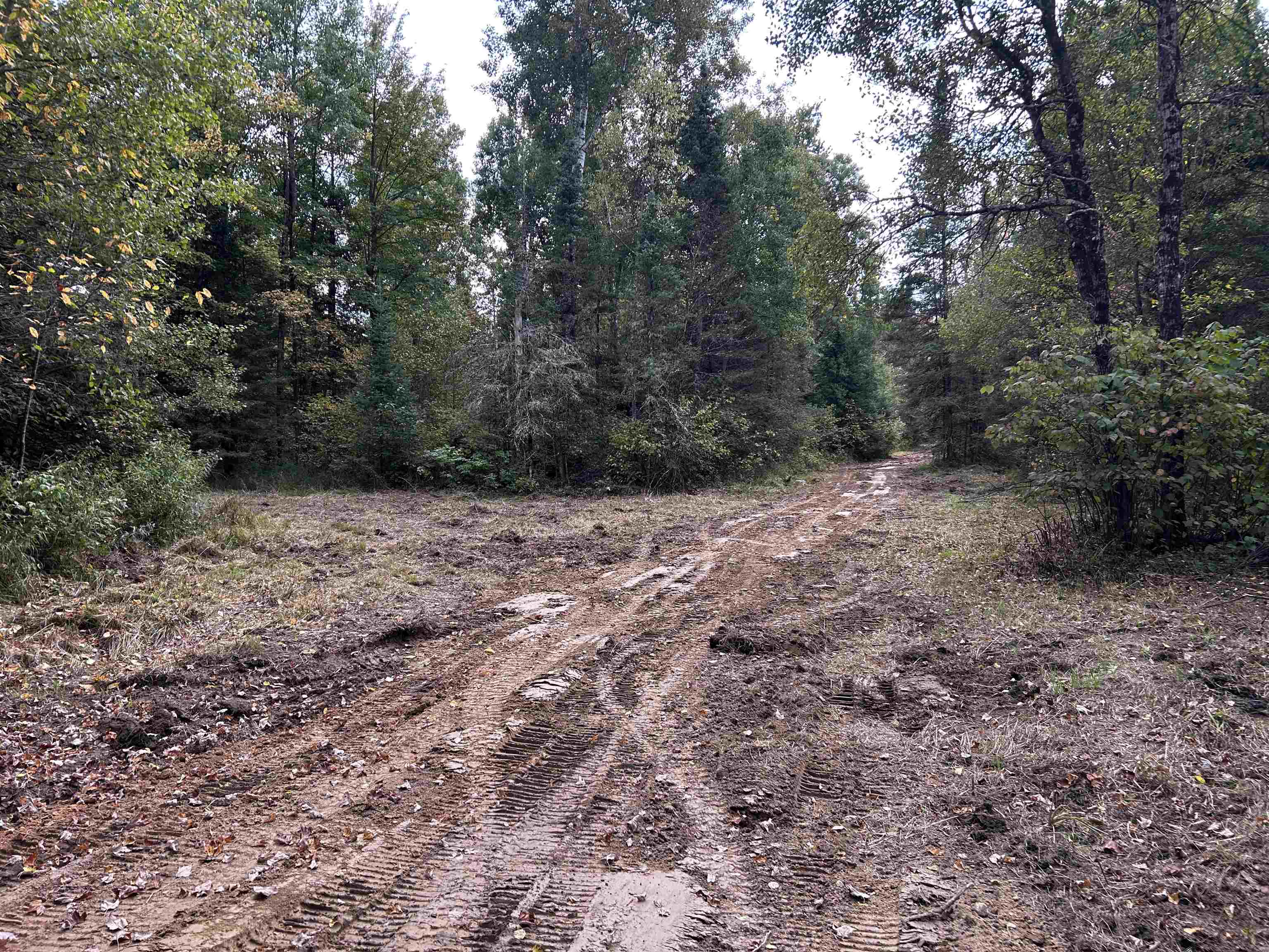 W13821 Lloyd Creek Road Gleason, WI 54435 - Photo 23 of 45
