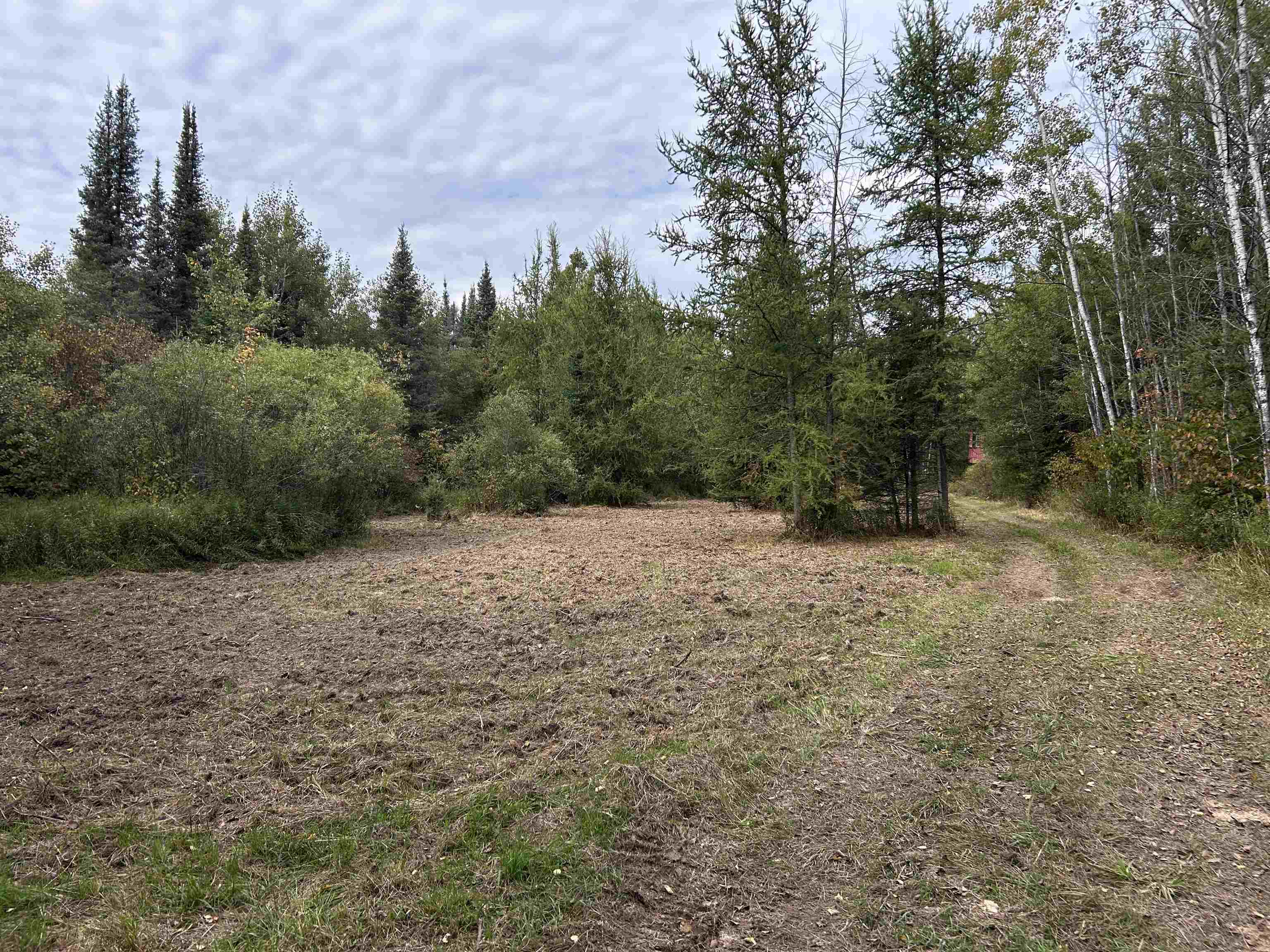 W13821 Lloyd Creek Road Gleason, WI 54435 - Photo 24 of 45