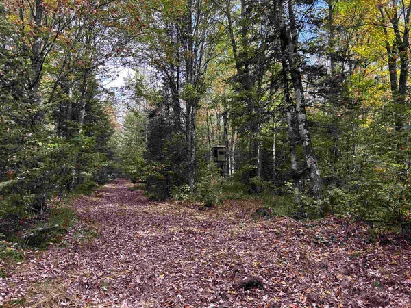 $379,000 | W13821 Lloyd Creek Road, Gleason, WI 54435