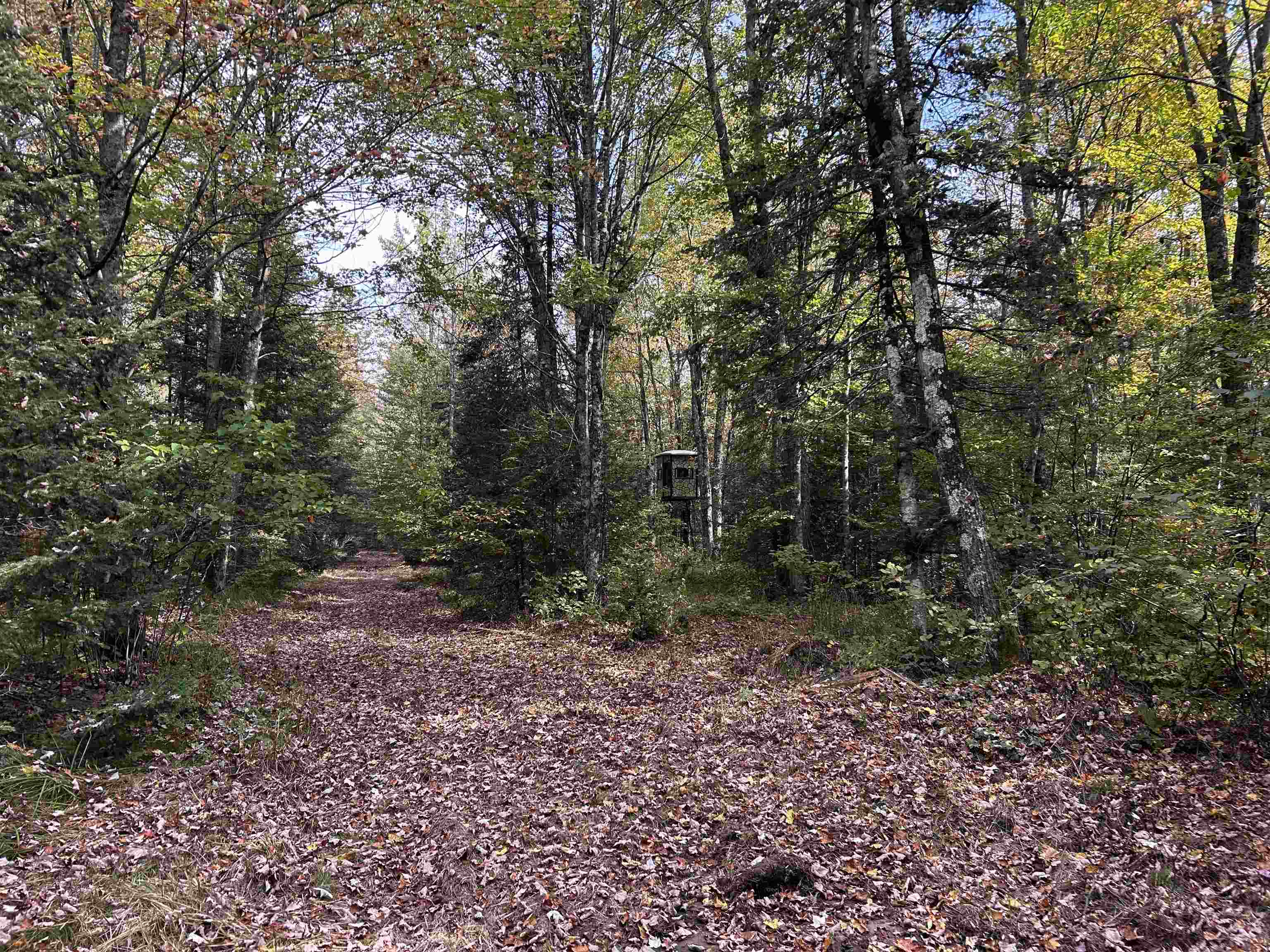 W13821 Lloyd Creek Road Gleason, WI 54435 - Photo 25 of 45