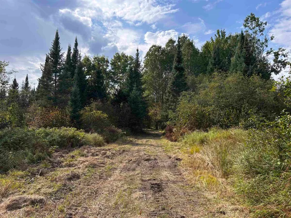 $379,000 | W13821 Lloyd Creek Road, Gleason, WI 54435