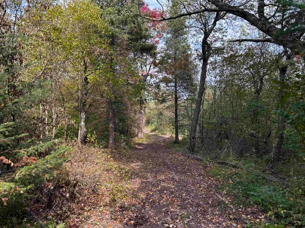 $379,000 | W13821 Lloyd Creek Road, Gleason, WI 54435