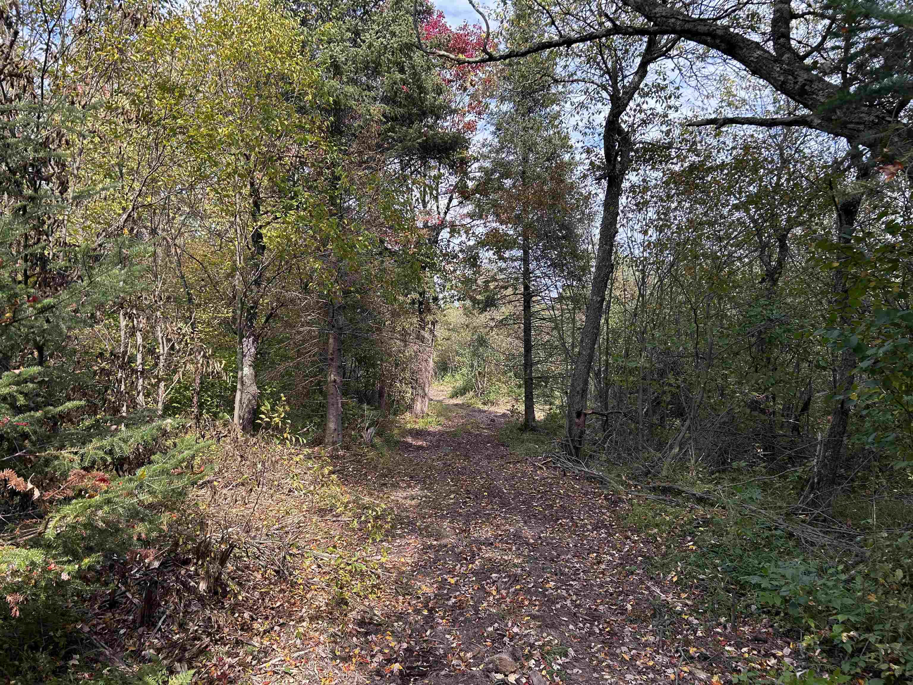 W13821 Lloyd Creek Road Gleason, WI 54435 - Photo 29 of 45