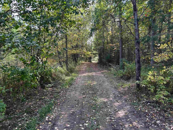 $379,000 | W13821 Lloyd Creek Road, Gleason, WI 54435