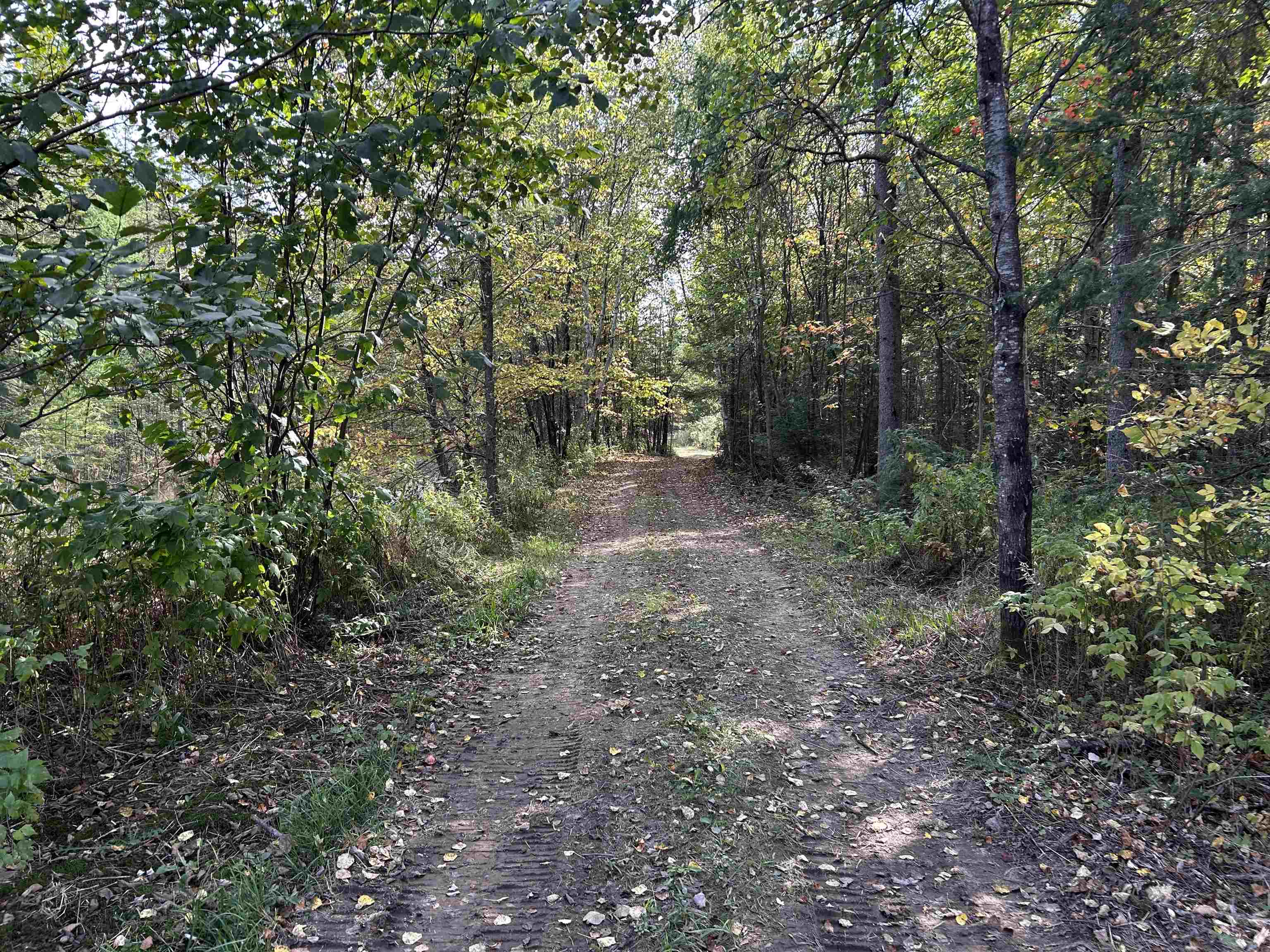 W13821 Lloyd Creek Road Gleason, WI 54435 - Photo 3 of 45