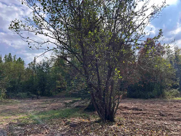 $379,000 | W13821 Lloyd Creek Road, Gleason, WI 54435