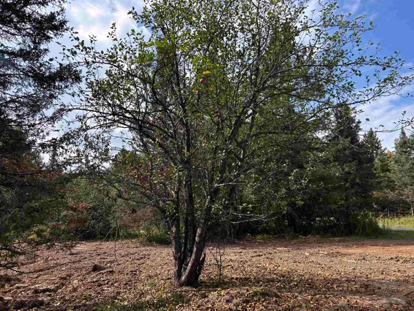 $379,000 | W13821 Lloyd Creek Road, Gleason, WI 54435