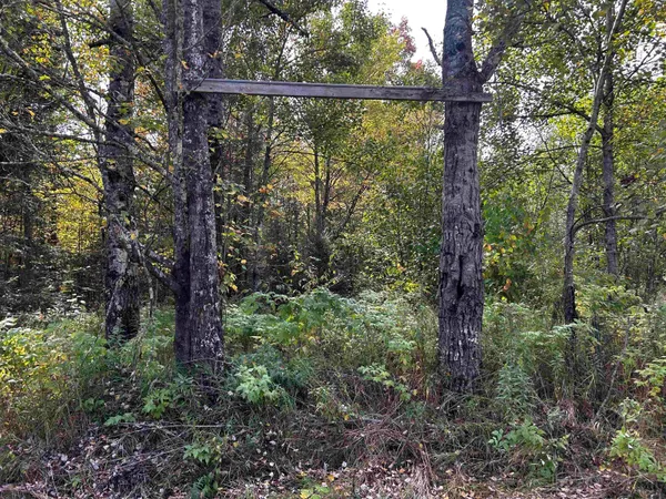 $379,000 | W13821 Lloyd Creek Road, Gleason, WI 54435