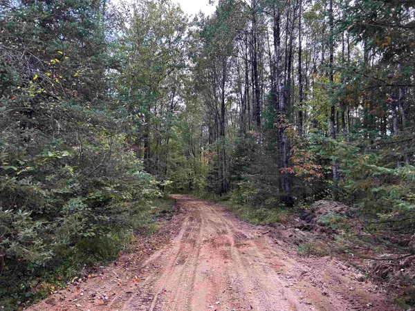 $379,000 | W13821 Lloyd Creek Road, Gleason, WI 54435