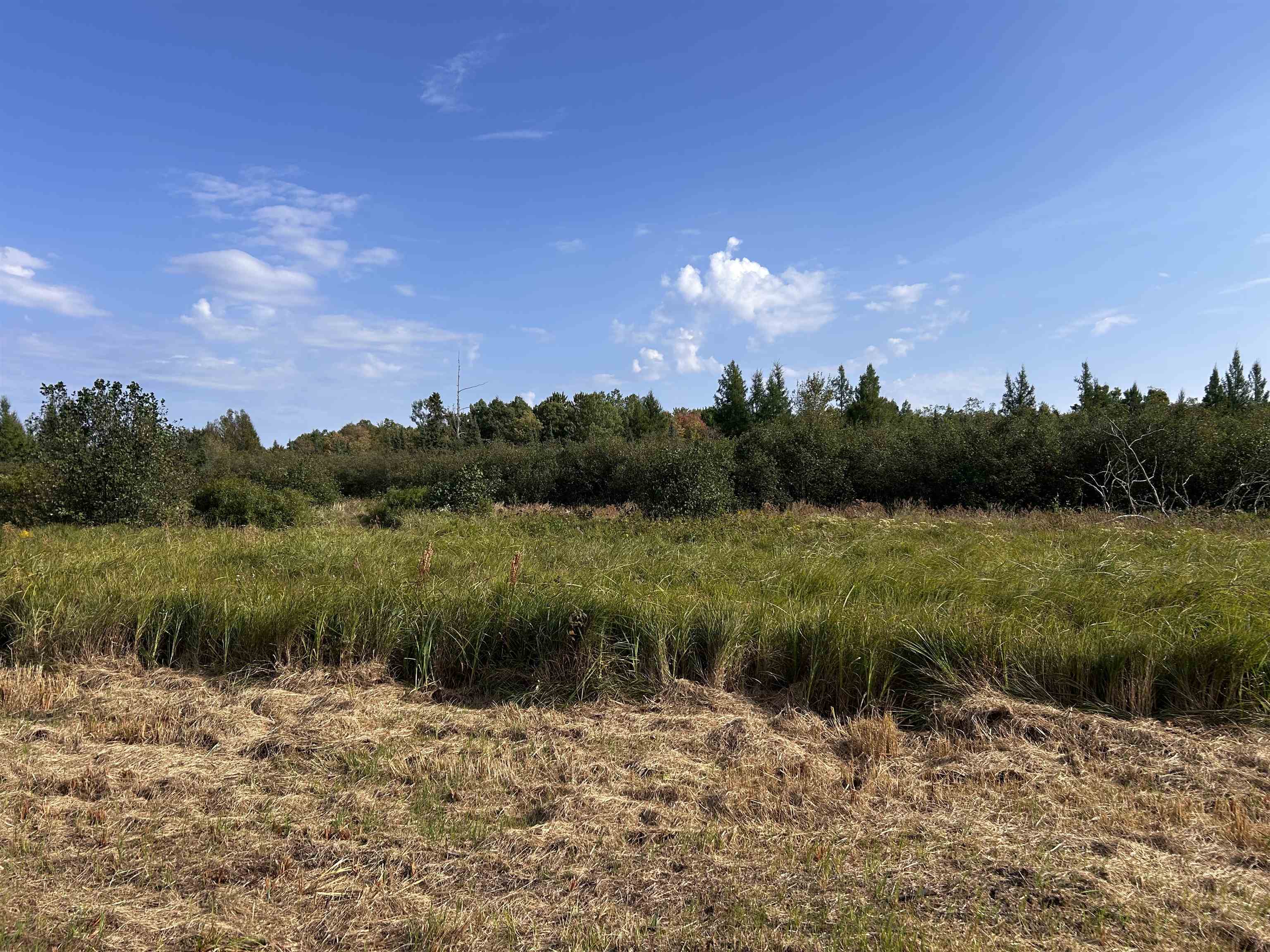 W13821 Lloyd Creek Road Gleason, WI 54435 - Photo 40 of 45