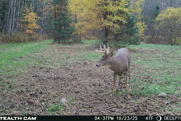 $379,000 | W13821 Lloyd Creek Road, Gleason, WI 54435