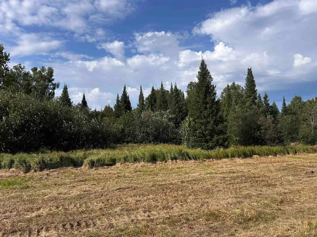 $399,000 | W13821 Lloyd Creek Road, Gleason, WI 54435