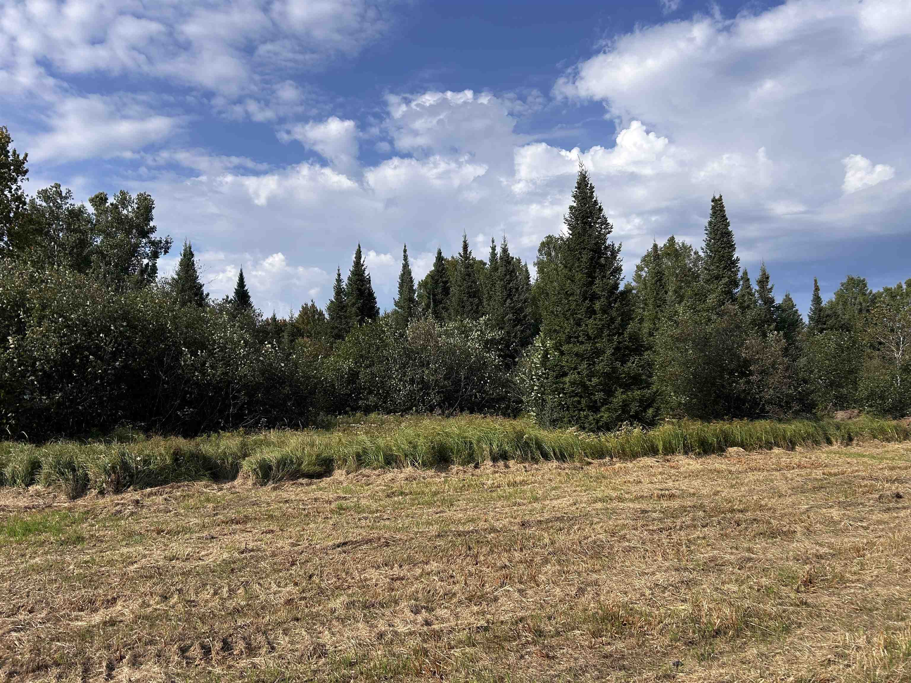 W13821 Lloyd Creek Road Gleason, WI 54435 - Photo 41 of 45