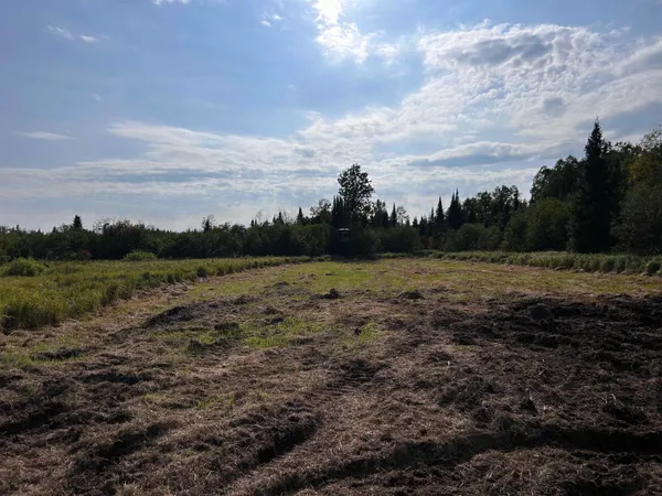 $379,000 | W13821 Lloyd Creek Road, Gleason, WI 54435