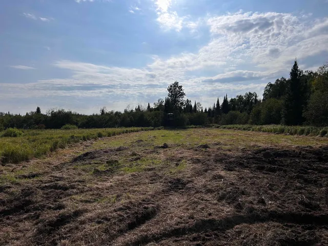 $399,000 | W13821 Lloyd Creek Road, Gleason, WI 54435