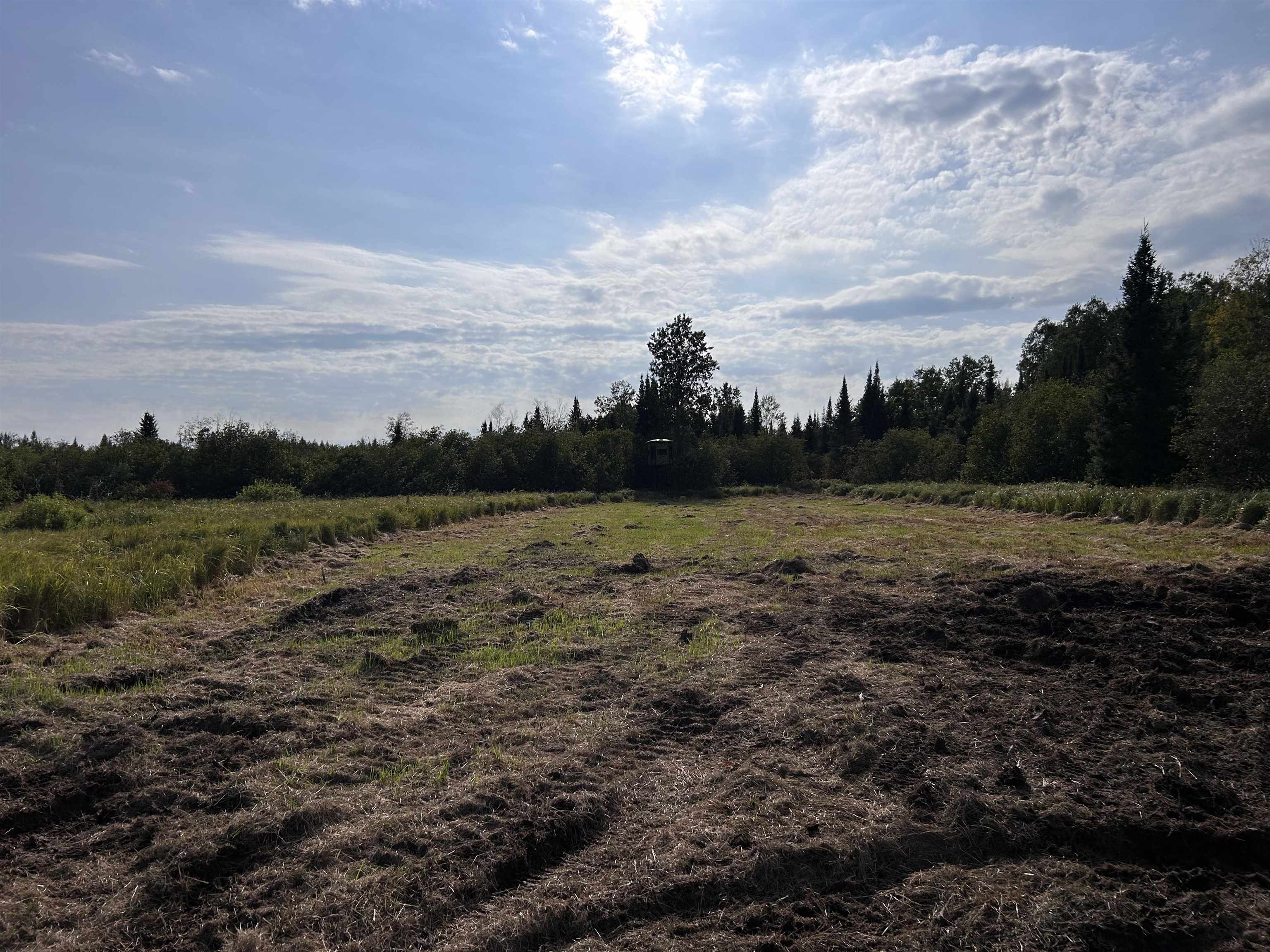 W13821 Lloyd Creek Road Gleason, WI 54435 - Photo 42 of 45