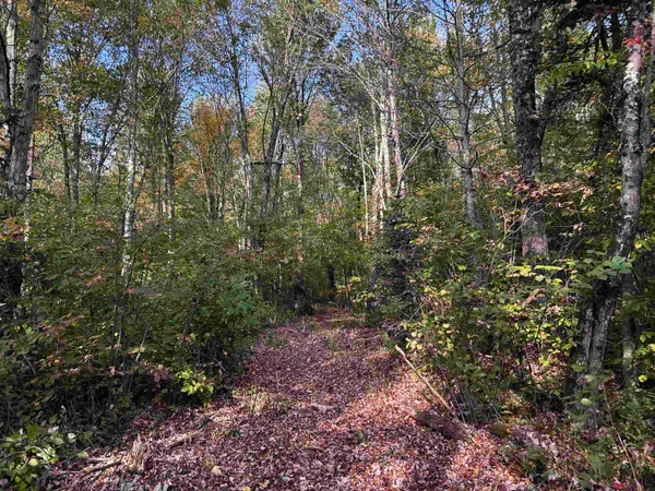 $379,000 | W13821 Lloyd Creek Road, Gleason, WI 54435