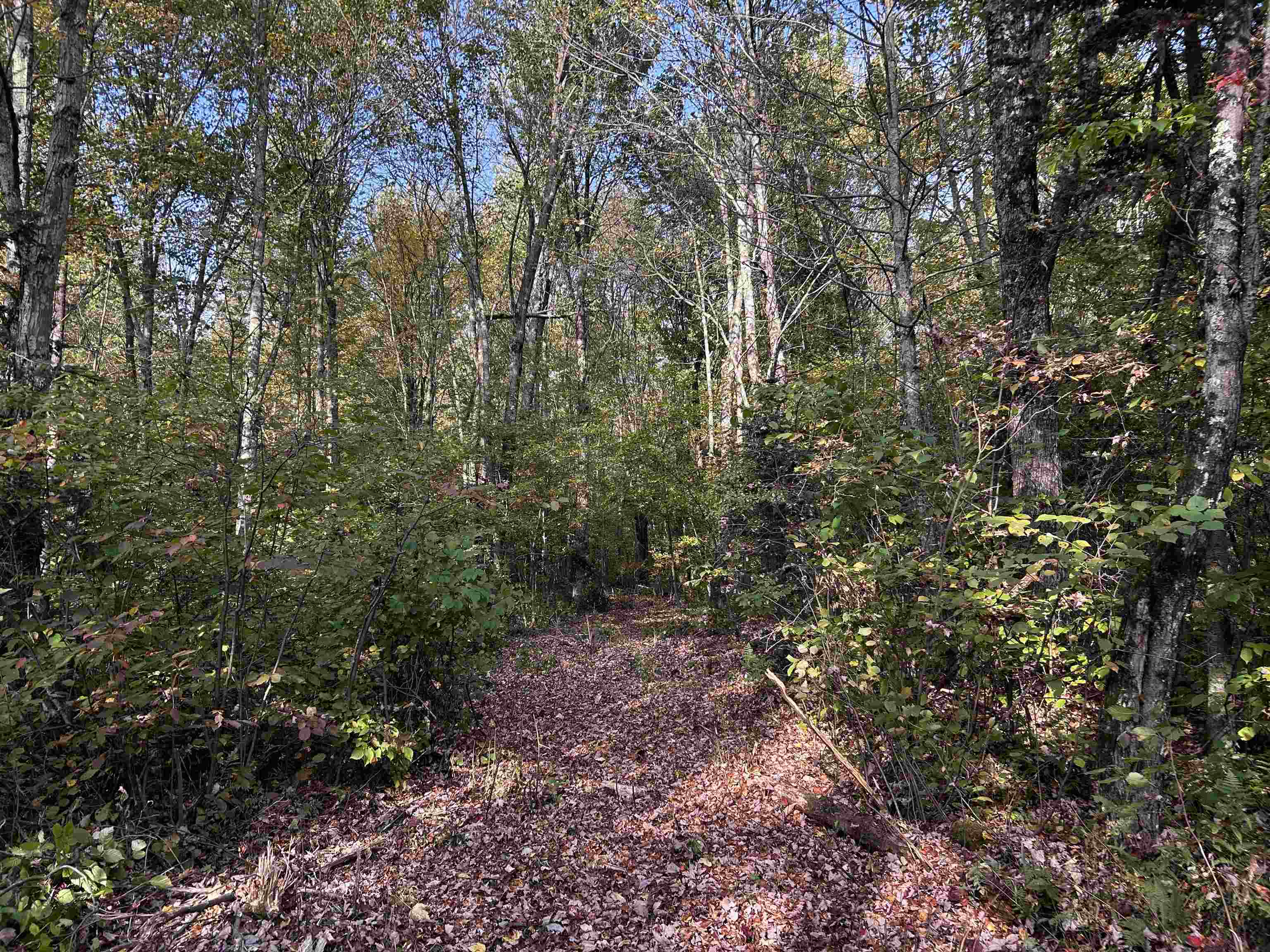 W13821 Lloyd Creek Road Gleason, WI 54435 - Photo 43 of 45