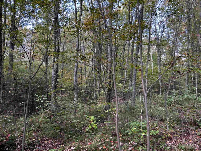 $399,000 | W13821 Lloyd Creek Road, Gleason, WI 54435