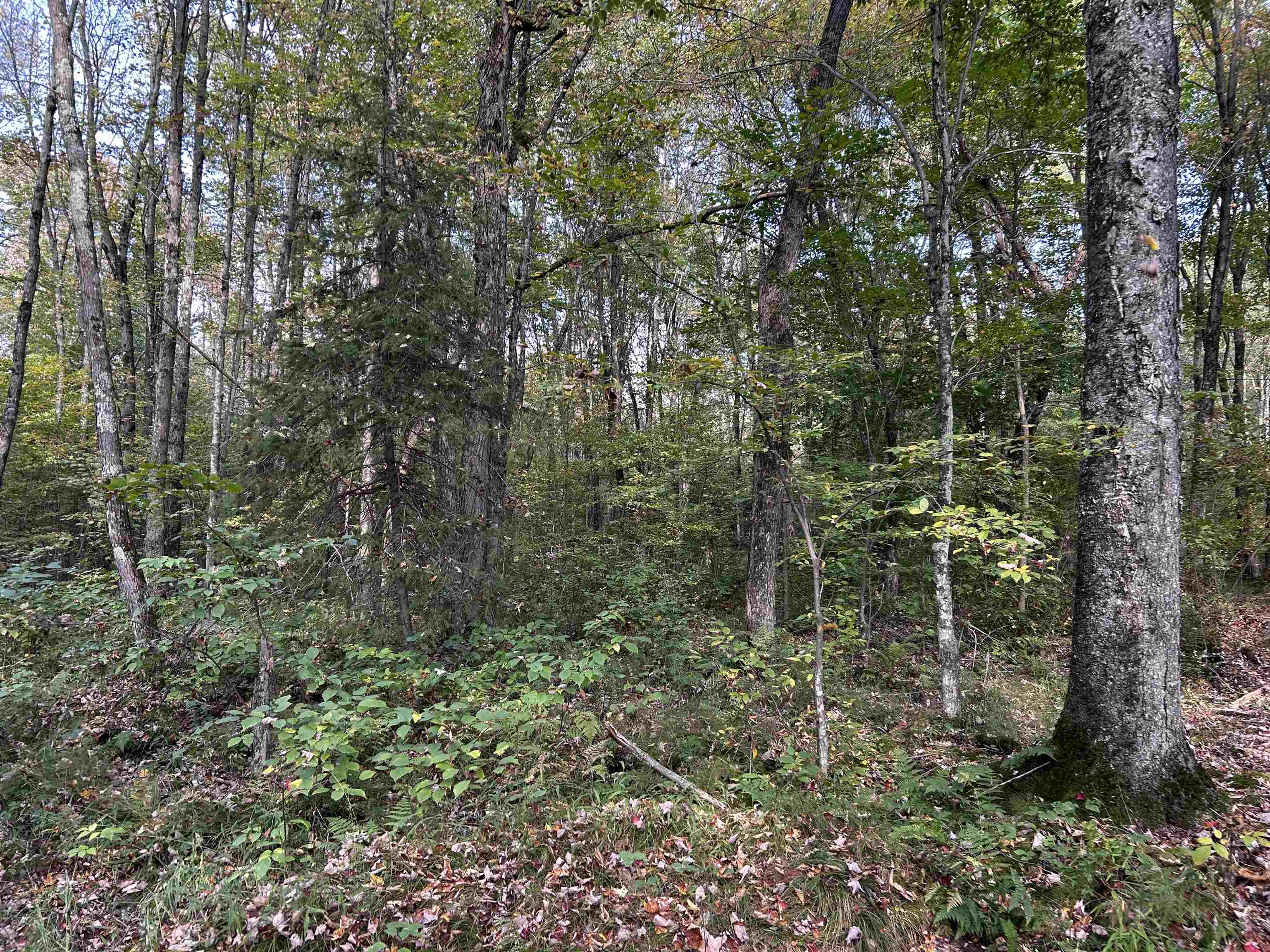 W13821 Lloyd Creek Road Gleason, WI 54435 - Photo 45 of 45