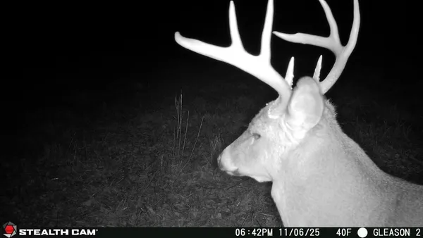 $379,000 | W13821 Lloyd Creek Road, Gleason, WI 54435