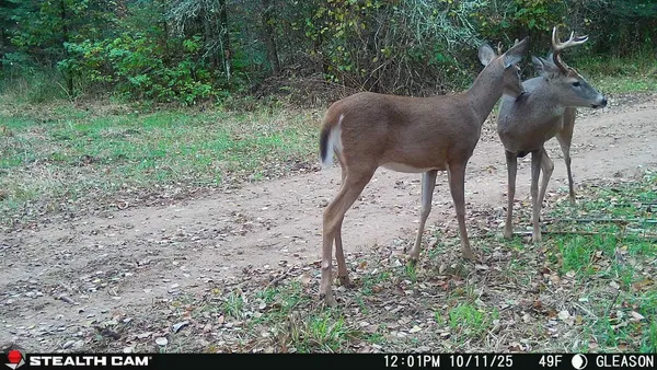 $379,000 | W13821 Lloyd Creek Road, Gleason, WI 54435