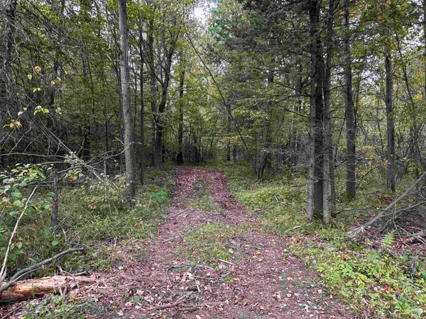 $379,000 | W13821 Lloyd Creek Road, Gleason, WI 54435