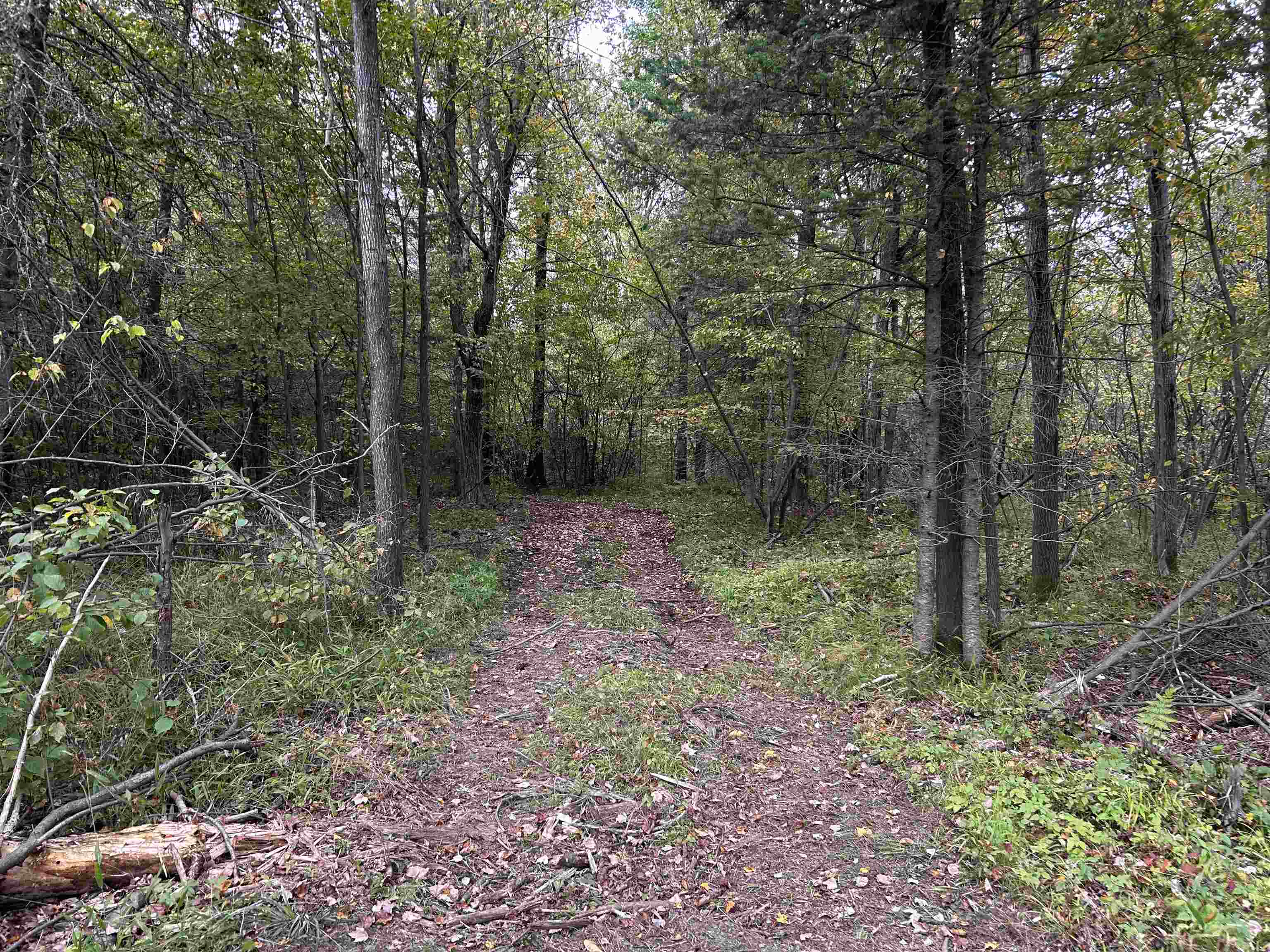 W13821 Lloyd Creek Road Gleason, WI 54435 - Photo 7 of 45