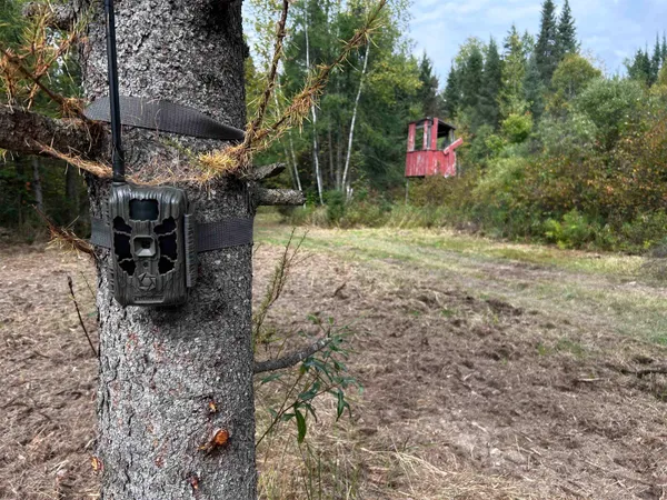 $379,000 | W13821 Lloyd Creek Road, Gleason, WI 54435