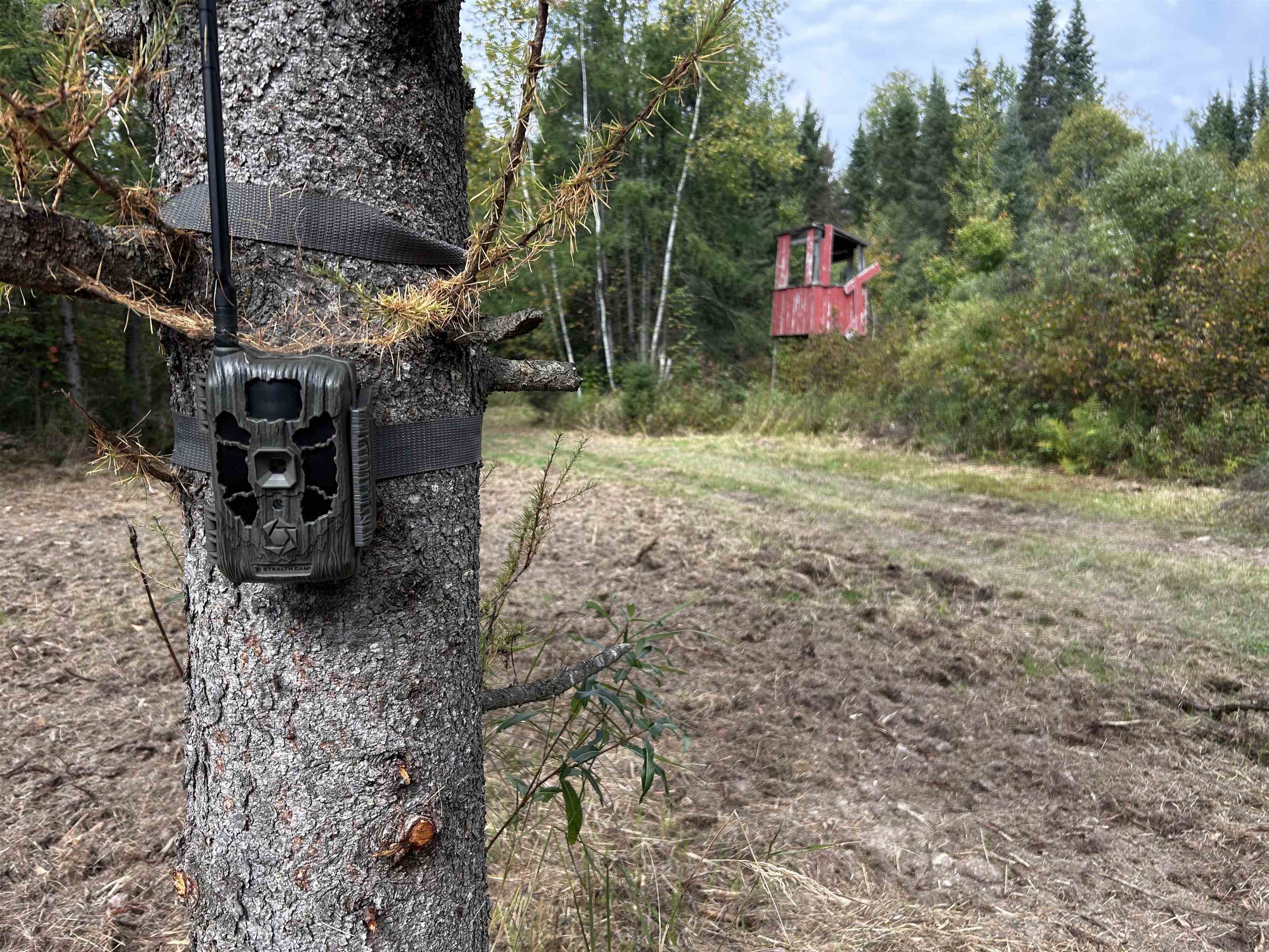 W13821 Lloyd Creek Road Gleason, WI 54435 - Photo 8 of 45