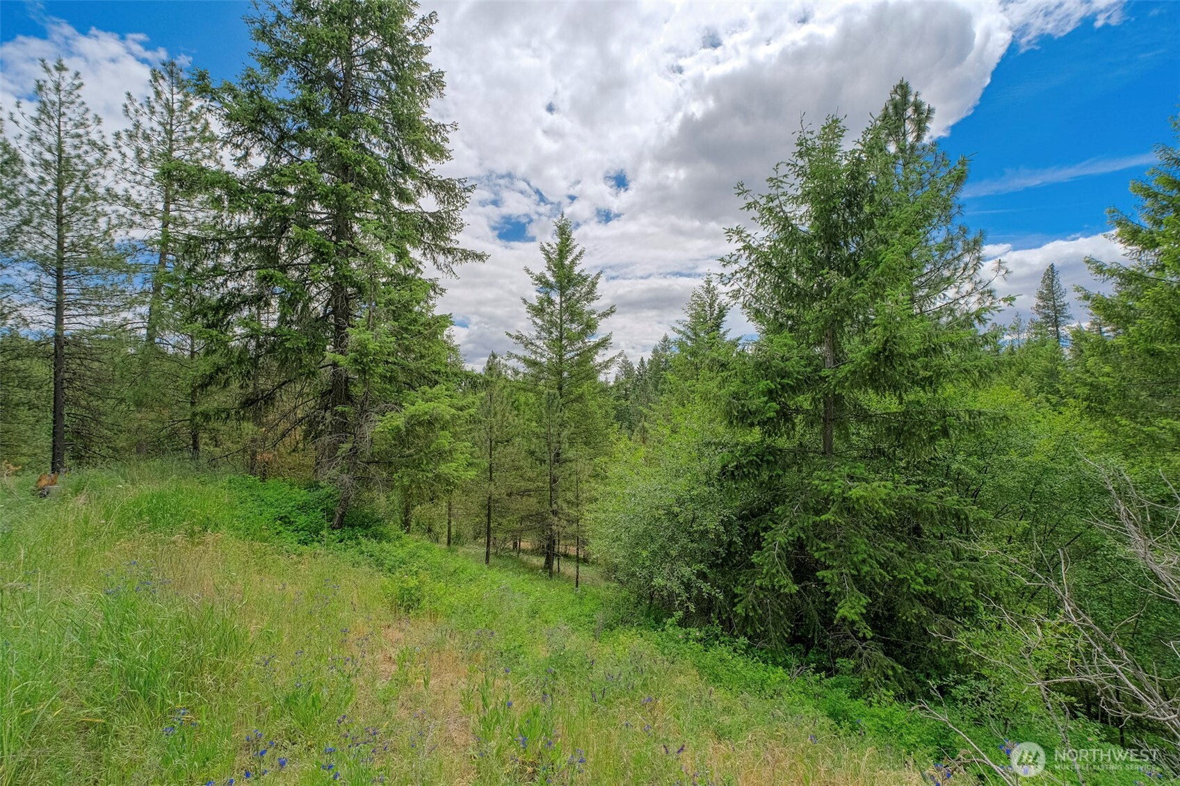 6264 Brisbois Road Fruitland, WA 99129 - Photo 4 of 8