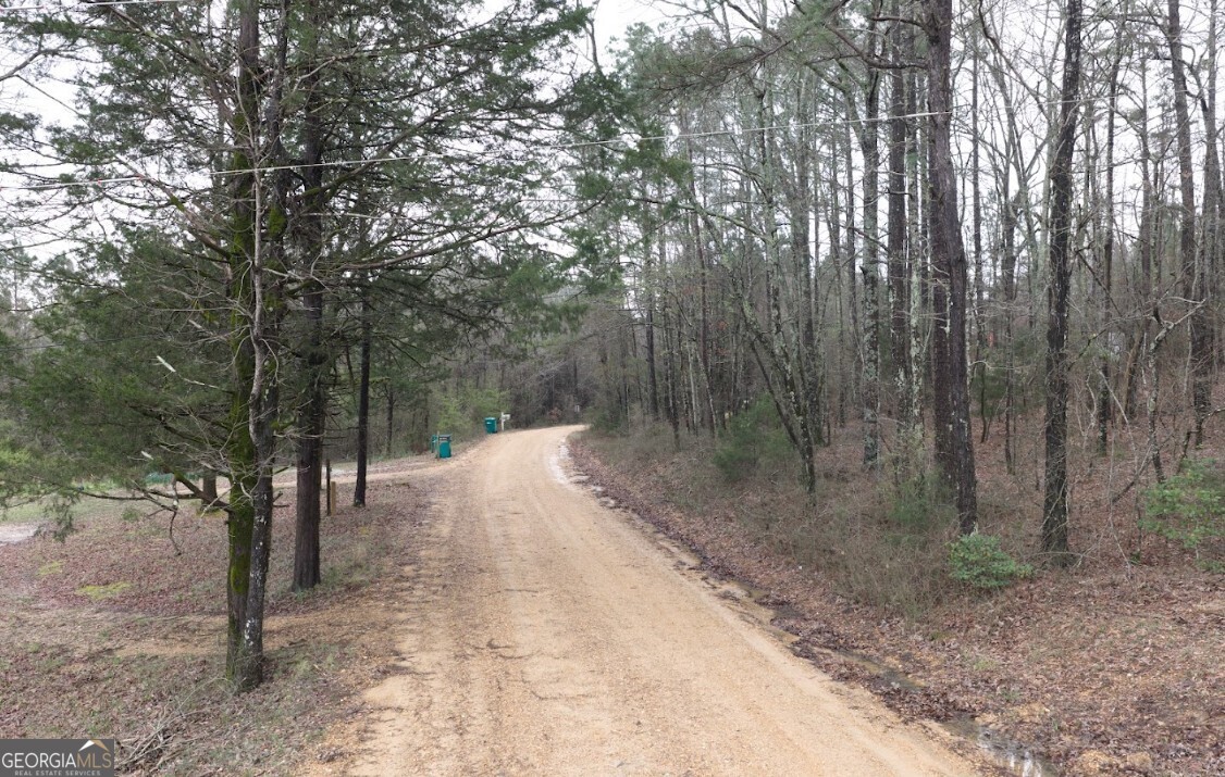 0 Otts Road Fayette, AL 35555 - Photo 6 of 17 a view of a forest with trees in the background