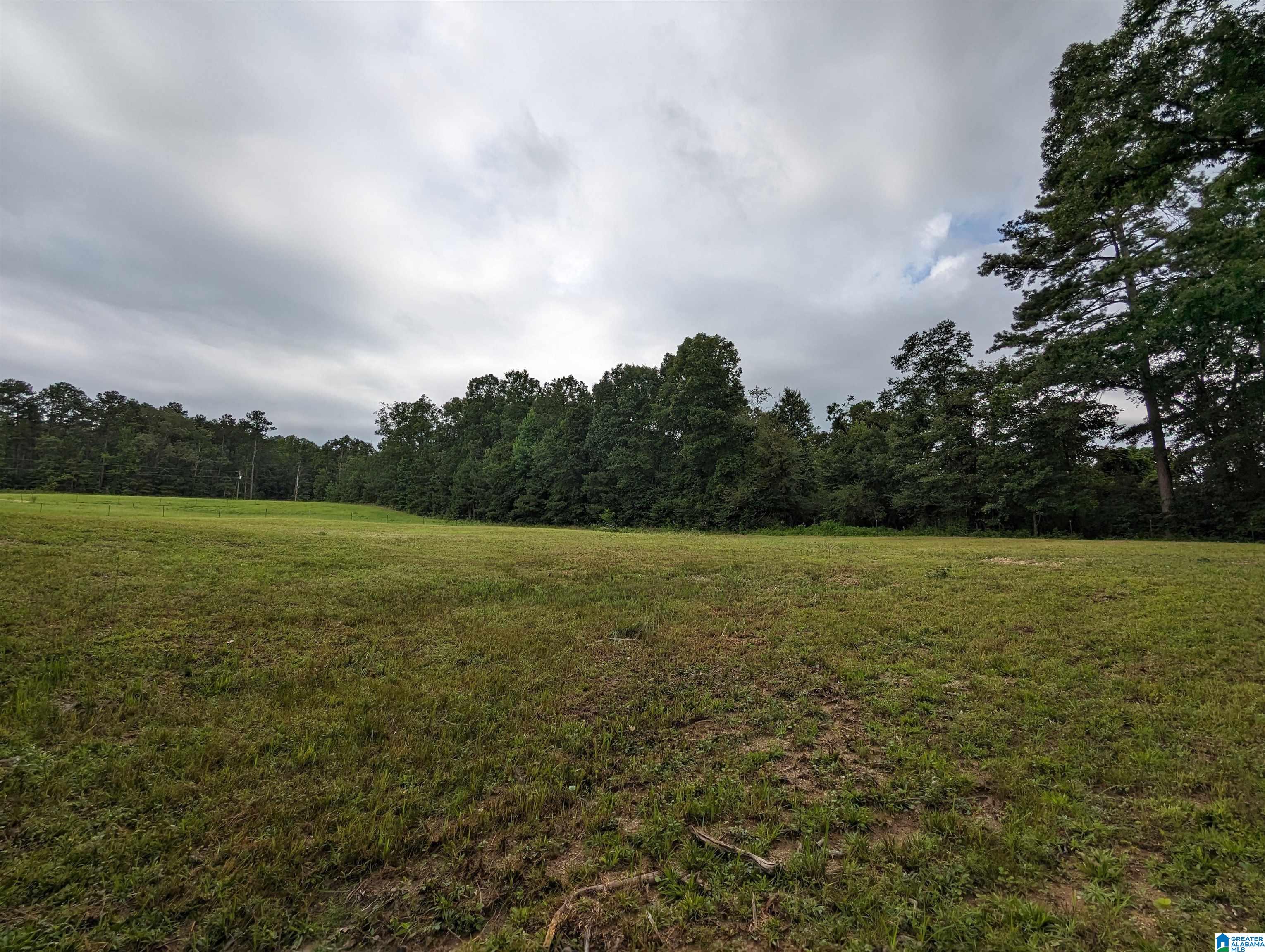 239 County Road 835 Clanton, AL 35046 - Photo 46 of 55