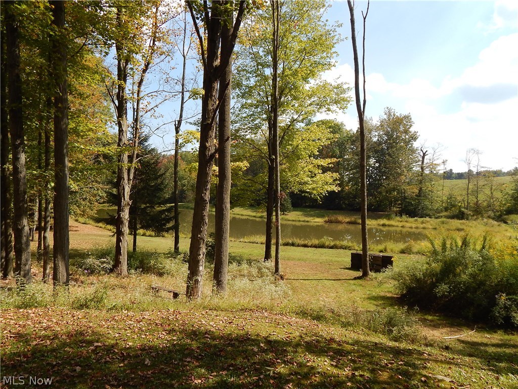 12975 Forest Road Burton, OH 44021 - Photo 10 of 35