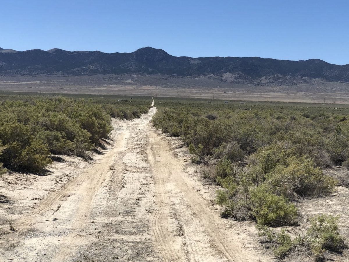 Lot 64 Sun Valley, Unit 64 Spring Creek, NV 89815 - Photo 4 of 4