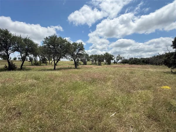 a view of open space with field and trees