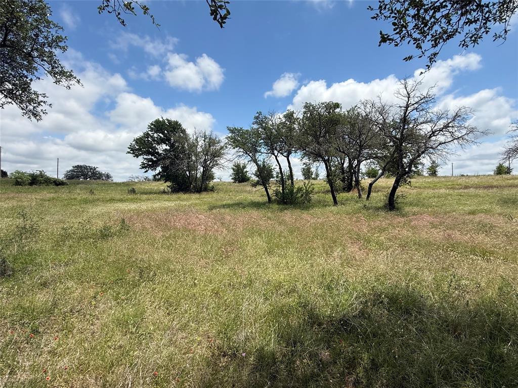 10131 Horizon View Tolar, TX 76476 - Photo 15 of 25 a view of yard with trees