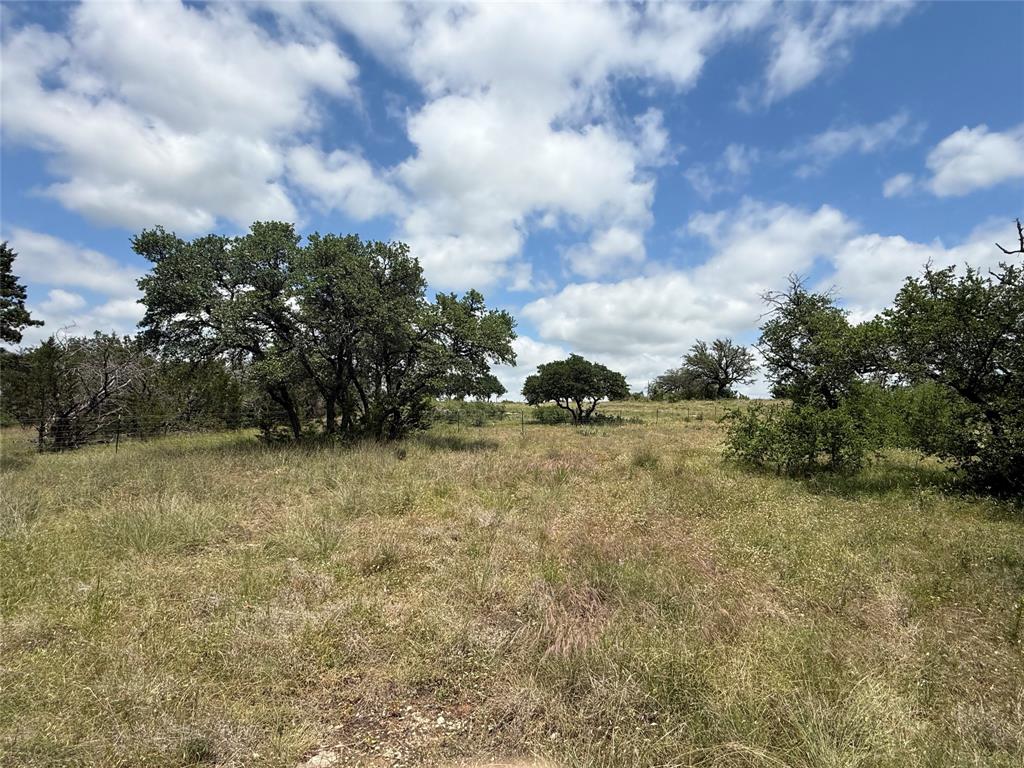10131 Horizon View Tolar, TX 76476 - Photo 16 of 25 a view of a field with trees