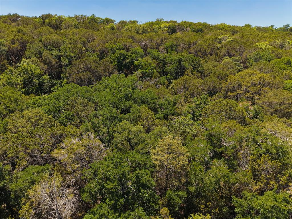10131 Horizon View Tolar, TX 76476 - Photo 23 of 25 a view of a forest with a mountain in the background