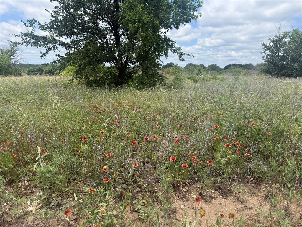 10131 Horizon View Tolar, TX 76476 - Photo 3 of 25 a view of a garden