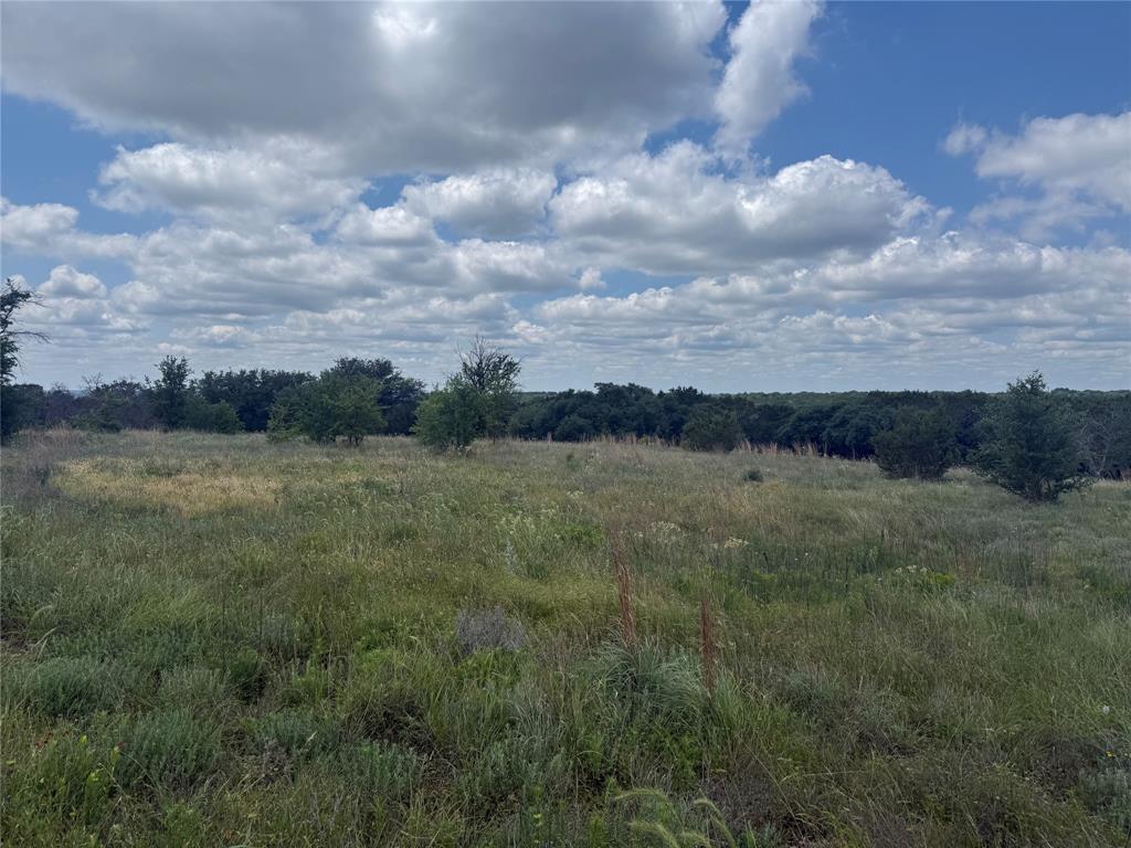 10131 Horizon View Tolar, TX 76476 - Photo 4 of 25 a view of a lake and mountain in the back