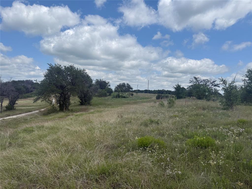 10131 Horizon View Tolar, TX 76476 - Photo 6 of 25 a view of a yard with an outdoor space