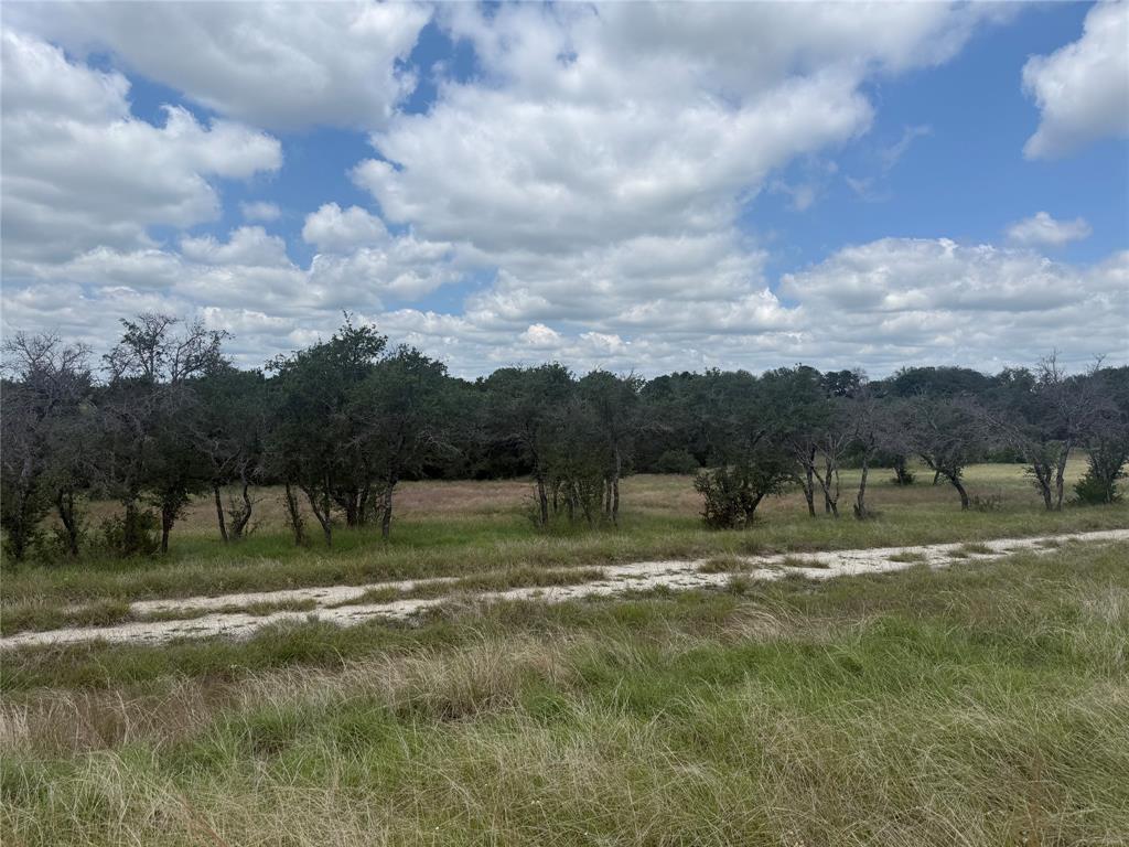 10131 Horizon View Tolar, TX 76476 - Photo 7 of 25 a view of swimming pool with a yard and trees in the background
