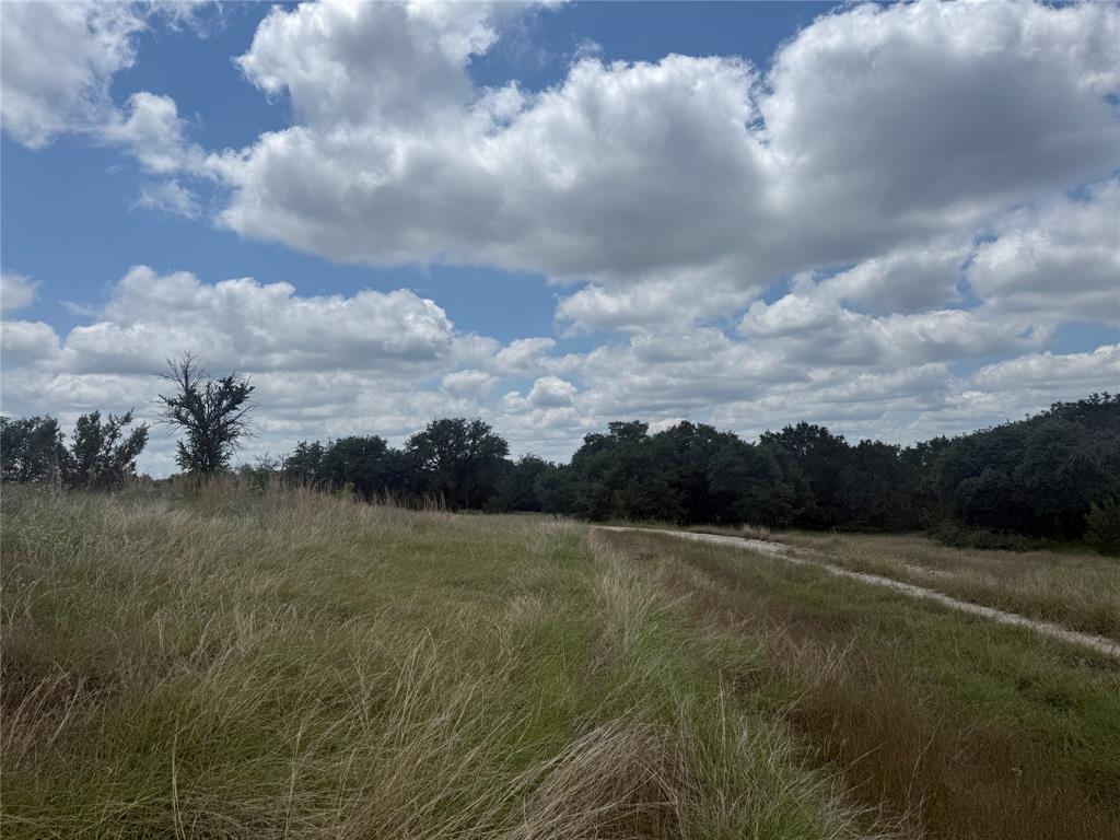 10131 Horizon View Tolar, TX 76476 - Photo 8 of 25 a view of a lake in middle of forest