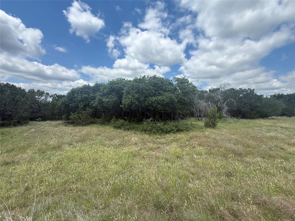 10131 Horizon View Tolar, TX 76476 - Photo 9 of 25 a view of outdoor space and green space