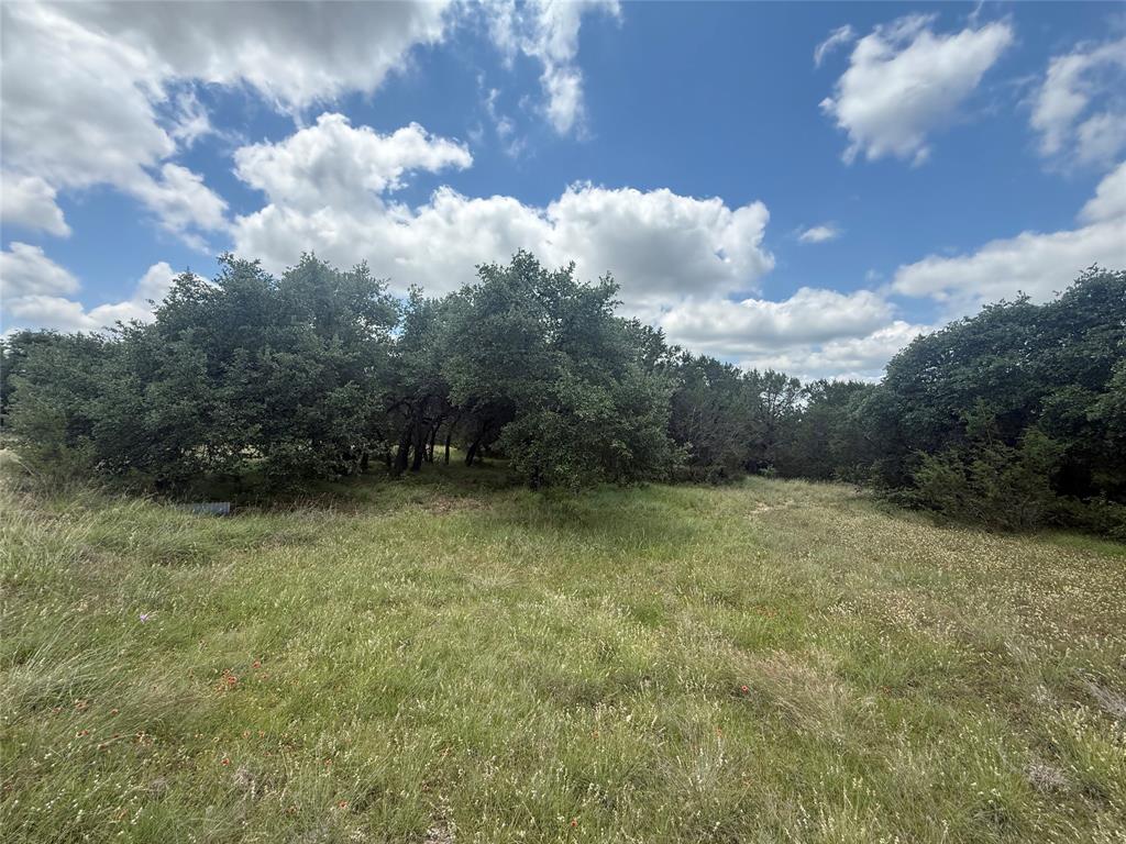 10131 Horizon View Tolar, TX 76476 - Photo 10 of 25 a view of a yard
